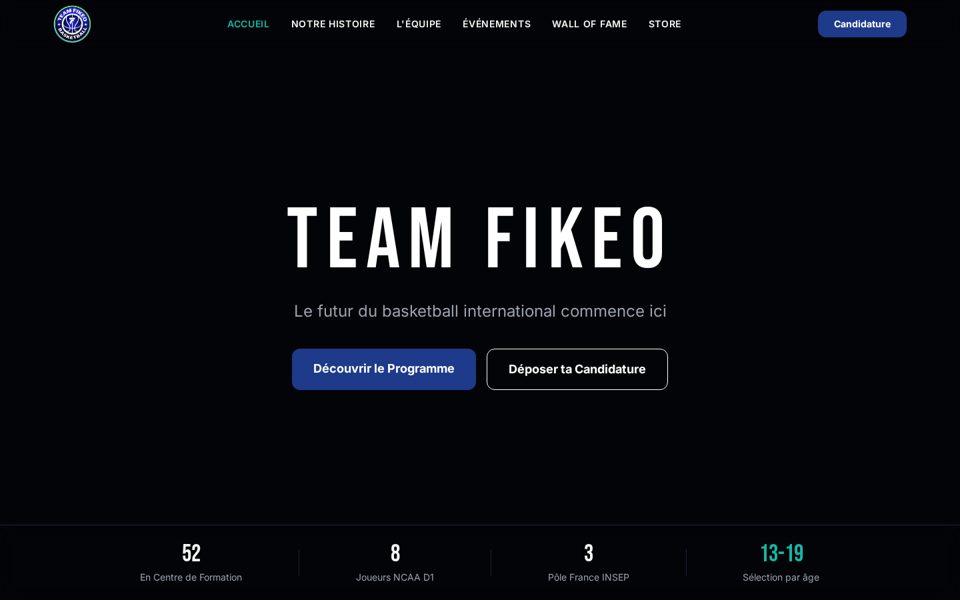 Aperçu de la page d’accueil du site Team Fikeo